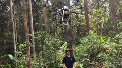 Someone flying a drone in the forest