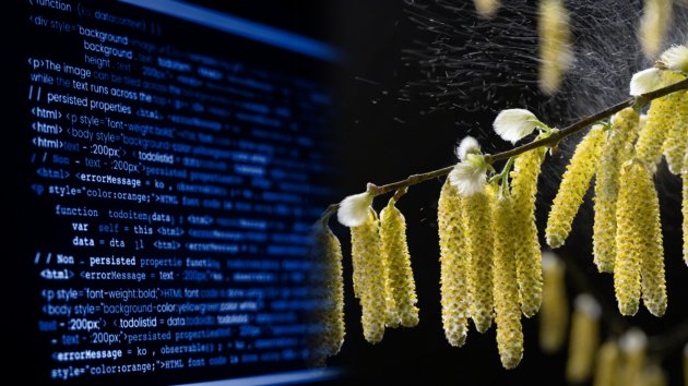 A mixed image of code on a screen and pollen